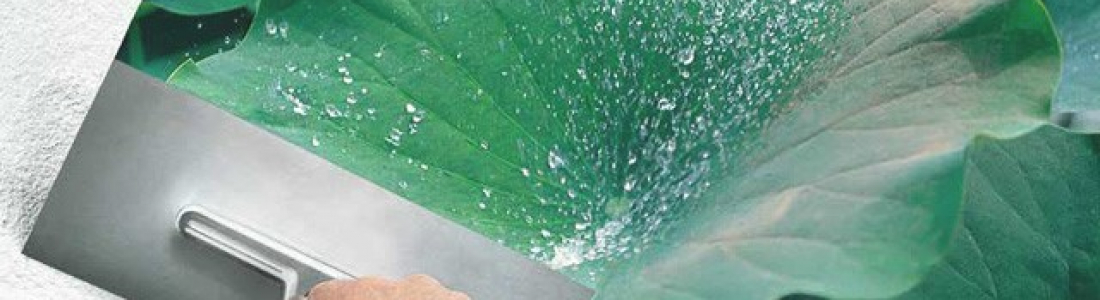 Conheça a tinta que protege as superfícies da ação do tempo enquanto facilita sua rotina