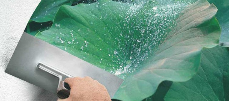 Conheça a tinta que protege as superfícies da ação do tempo enquanto facilita sua rotina